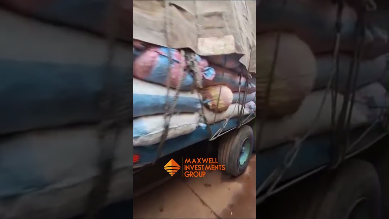 From Farmgate to Global Gateways: MIG Agro-Commodities in Motion