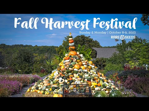 Fall Harvest Festival: Don't Miss It!