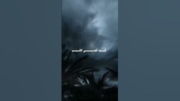 تلاوه راحه القلب |ال عمران تلاوه خاشعه للشيخ|عمر بن ضياء الدين #قرآن