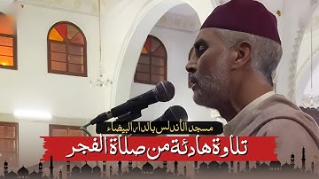 تلاوة هادئة من صلاة الفجر من مسجد الأندلس 28/10/2025 - بجودة عالية - الشيخ العيون الكوشي 4K