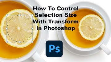 How to Control Selection Size With Transform in Photoshop - Urdu / Hindi
