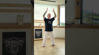 Qigong training Crane Flow Form