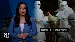 Bird flu outbreak spreads, but risk to public 