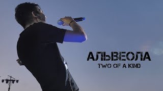 Альвеола - Two Of A Kind Official Video
