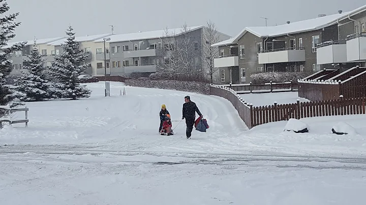 Most #snow in #Reykjavik in #Iceland since 1931