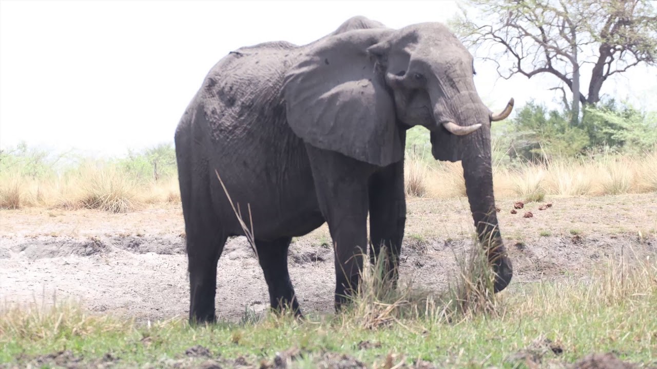 Our trip to Namushasha