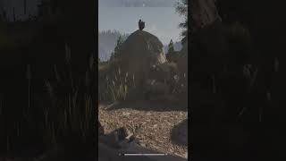 Looting a Hidden Container