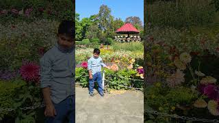 #song #funny #bharat #icc dagar Hai mushkil #cutebaby