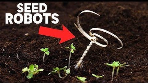 A tiny device could reforest the entire planet | An amazing wooden little robot