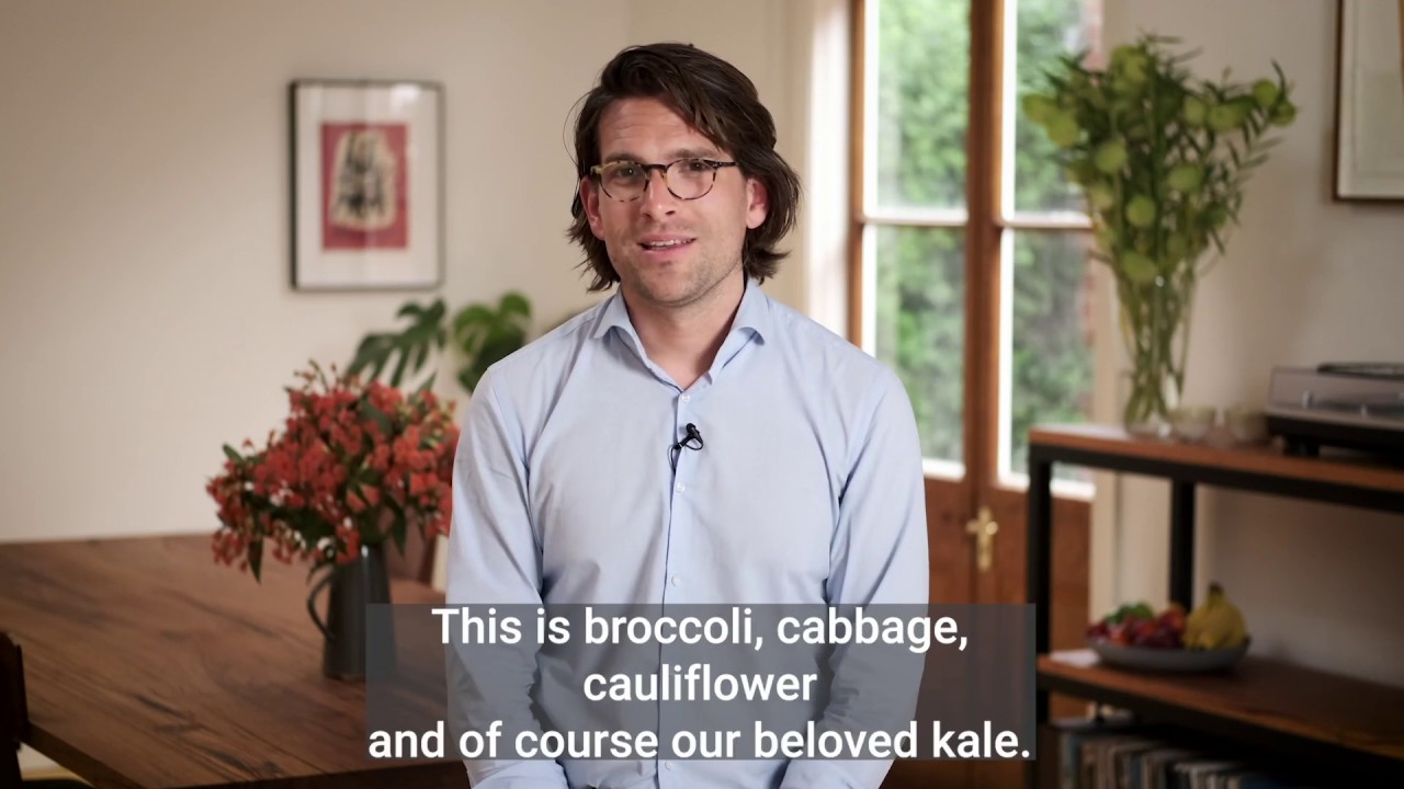 What Foods Are In season In Autumn YouTube