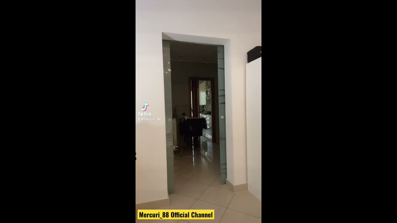 Mercuri 88 Official TikTok Study