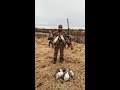 ОХОТА НА ГУСЯ часть 1. Весенняя охота на Севере. Goose Hunting.