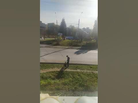файт бол - YouTube