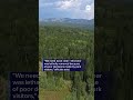 Black bear euthanized after visitors repeatedly left food behind: Officials