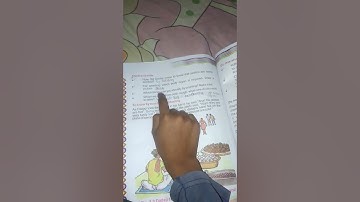 rbse books class 4 evs chapter 3 how can we know questions answers