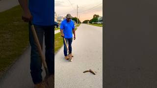 Smells Like Burnt Sadness