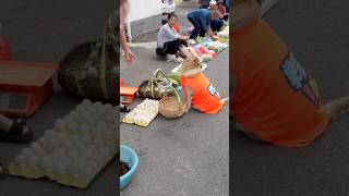 ?Qute Puppy  and mummy ? funny dogs? part 120shorts viral trending funny