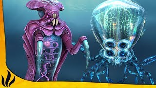 CE BIOME EST FLIPPANT ! (Subnautica #14)