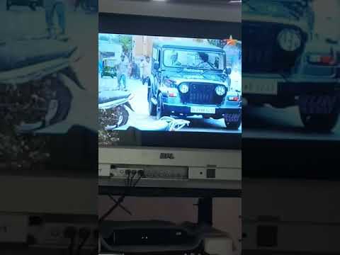 saamy-2
