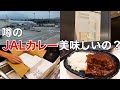 上級会員だけが食べられるJALラウンジカレーとは？！自宅で食す！【お取り寄せ】