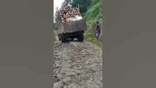 truk pengangkut kayu mati hampir mundur lagi #truk #shorts