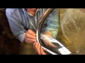 Mercedes W116 Windshield Removal & Replacement