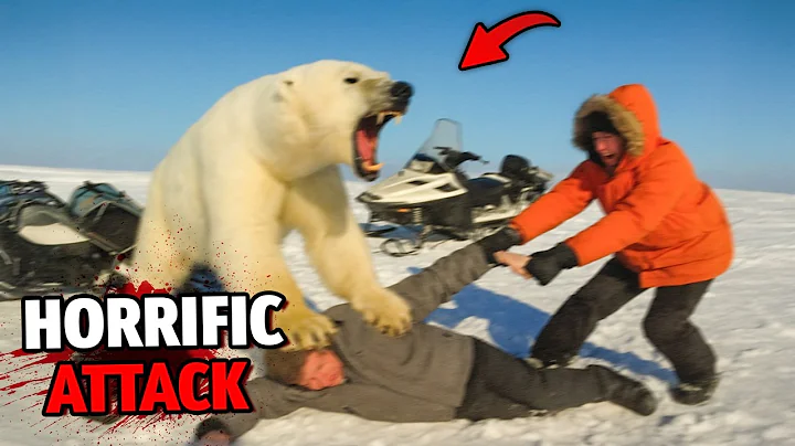 This Polar Bear Killed 8 Tourists in 2 Minutes on August 7th, 2025