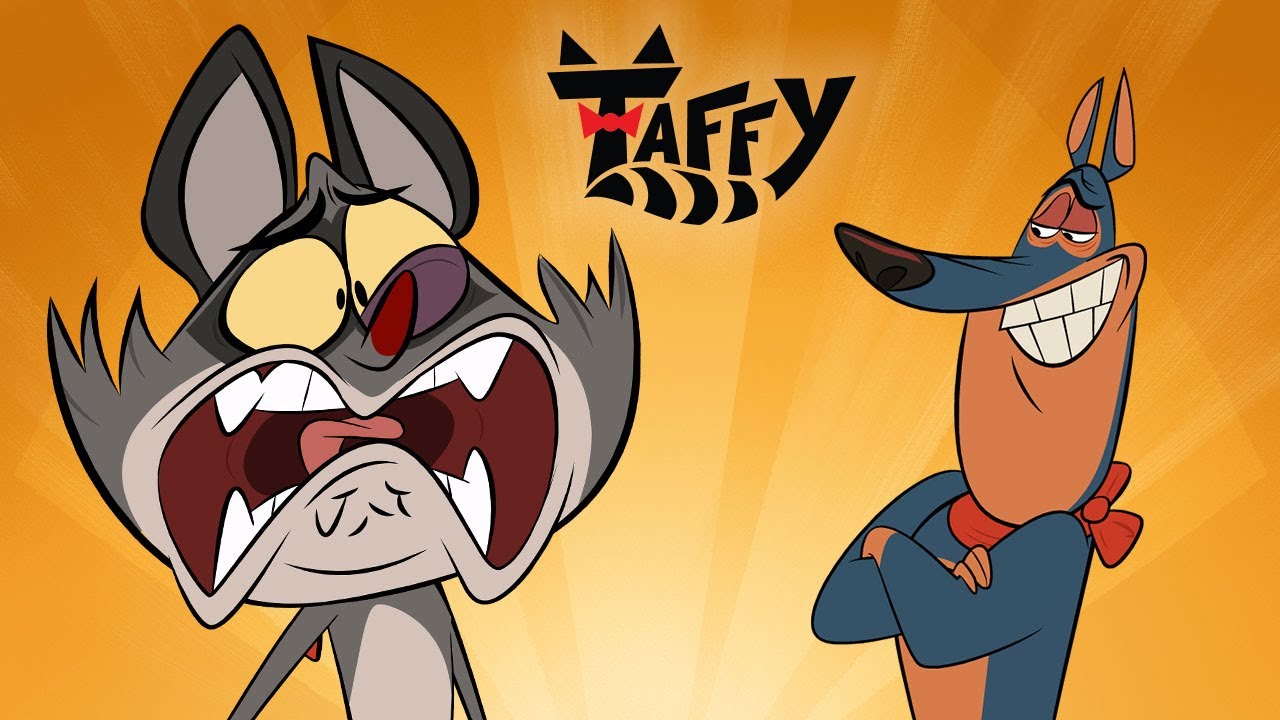 Taffy et les boules de poils Taffy YouTube