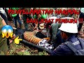 Heboh! Proses Penyelamatan Harimau Sumatera Corina dari Jerat