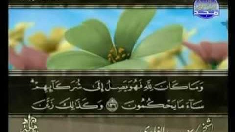 القرآن الكريم   الجزء الثامن   تلاوة سعد الغامدي 08