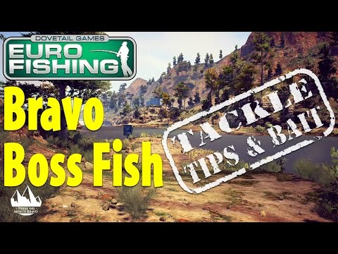 Vidéo: Dovetail Games Fishing Est Prêt à Faire Sensation Sur Xbox One