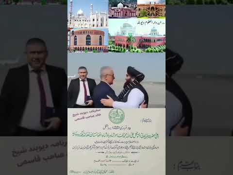 Afganistan Taliban Shortsfeed