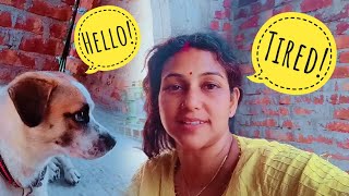 Ekhanei Boshe Roilam Vlog Rupashree Bengali Vlogs
