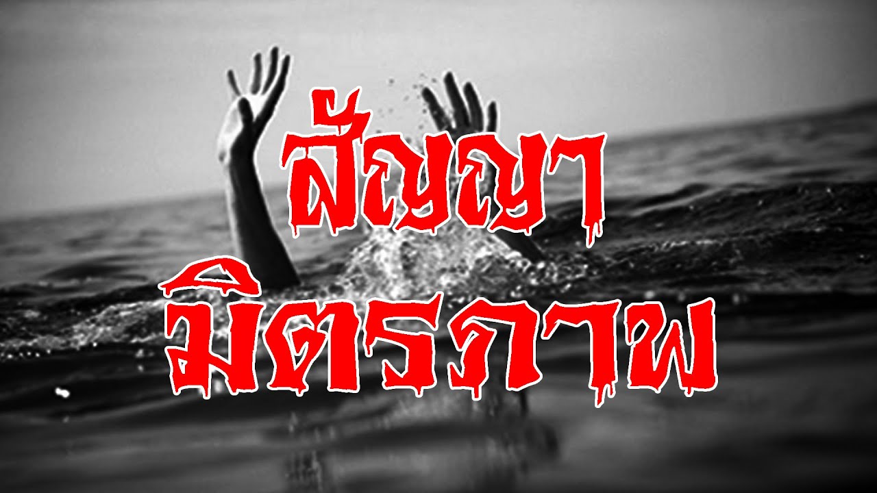 คำสัญญา มิตรภาพ l เรื่องเล่าสุดช็อค l จำไม่ลืม คุณ เอ็กซ์ l The Shock เดอะช็อค