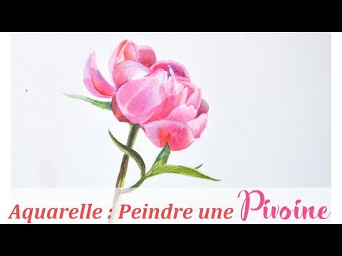 Vidéo: Peinture à L'aquarelle, Artiste Ron Thurston, Magazine De L'artiste Aquarelle