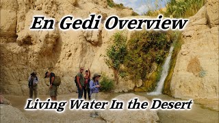 En Gedi, Israel: Living Water In the Desert, David's Hideout, Masada, Dead Sea, Oasis, Jer. 2:13