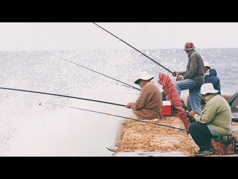    عقرب صياد  