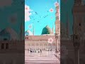 Namaz E Aqsa Me Jab Padhai Naat 💞💞 {Slowed And Reverb} Palestine Naat 2025