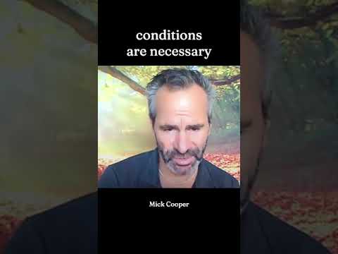 Person-Centred Therapy Misunderstood?