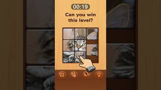 Jigsaw Puzzle Game: Wood Block screenshot 2