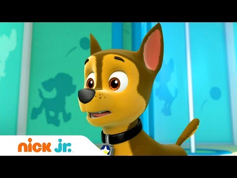 Щенячий патруль | Развлечения на горках | Nick Jr. Россия