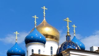 The Orthodox Church Rejects Evolution