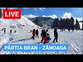 🔴 LIVE de pe PÂRTIA BRAN - ZĂNOAGA