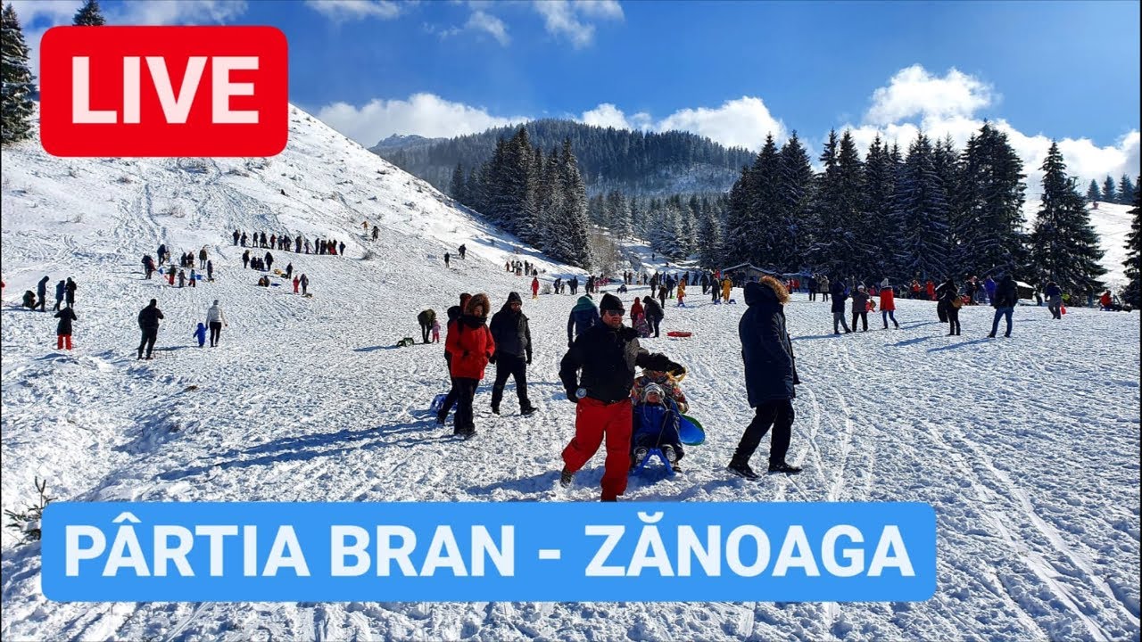 Download Gatesteusorro Mp4 Mp3 3gp Mp4 Mp3 Daily Movies Hub