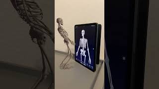Потанцуем? 🕺💀💃3D Атлас Анатомии Человека в приложении Easy Anatomy 3D