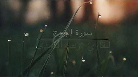 سورة البروج كاملة ..للقارئ :رعد الكردي 🍃🌷