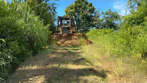 CAT D6R XL Bulldozer Operator Opens New Road for Access to Plantations!