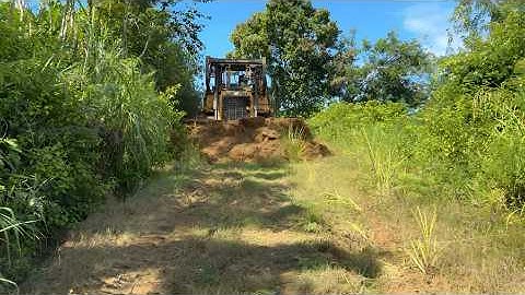 CAT D6R XL Bulldozer Operator Opens New Road for Access to Plantations!