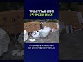 선거관리 부실 논란에도 2억 원 성과금? #선관위 #shorts #스브스뉴스
