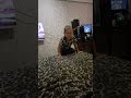 #прыжок